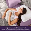Sleep Innovations Memory Foam Contour Pillow, Queen Size, Head, Neck,