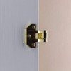 Defiant Heavy Duty Door Security Guard Bright Brass