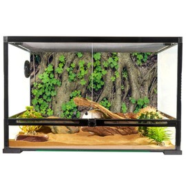 YongFoto Reptile Terrarium Background 36x24 inch Reptile Tank Background Vintage Old Tree Roots Green Grass Moss Bark Reptile Habitat Background Bearded Dragon Fish Tank Aquarium Background Backdrop