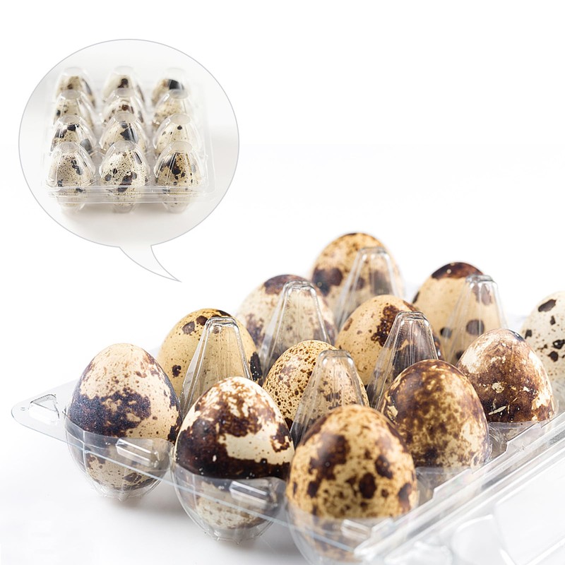 NAMYEUT Pack of 50 Quail Egg Boxes, 12 Plastic, Egg