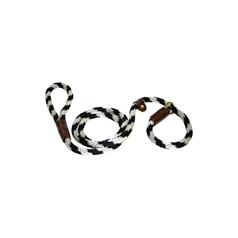 Lone Wolf Slip Lead with Leash and Collar for Pets,