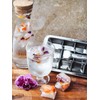Ecozoi Stainless Steel Metal Ice Cube Trays With Easy Release