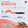 Turtle Cleaning Brush - Gently Remove Dirt from Turtles and