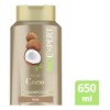 BIOEXPERT Shampoo Óleo de Coco, recubre el cabello dejándolo radiante