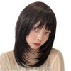 AQUADOLL wg352MBK Medium Semi-Long Layered Inner Mesh Full Wig, One