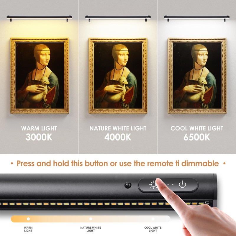 EAYOYAE Battery Operated Wireless Picture Light，Rechargeable/Plugged in 31.5inch Painting Display