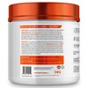 BALLISTIC SUPPS - AMINO RELOAD - All Day Recovery BCAA