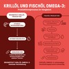 BRAINEFFECT Premium Krill Oil Capsules Omega 3 | 100% Krill