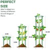 24 Pcs Plant Support Stakes, Half Round Plant Support for