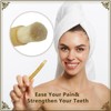 Miswak Sticks for Teeth Pack of 12 - Vacuum Sealed
