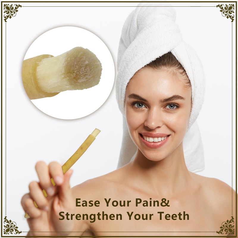 Miswak Sticks for Teeth Pack of 12 - Vacuum Sealed
