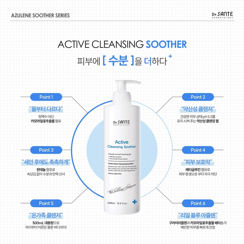 Santé Cleansing Soother Active Mildly Acidic Foam Cleansing 500ml /