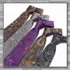 Rex Standard NA006 Men's Necktie, Paisley Pattern, Business, Casual Suit,