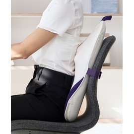Pulio Back Cushion Massager