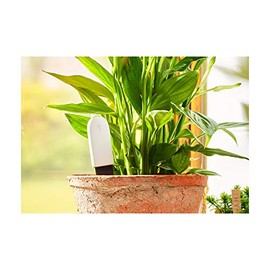 Pflanzen-Monitor für Blumentöpfe