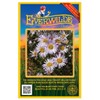 Everwilde Farms - 2000 Bigelow's Aster Native Wildflower Seeds -