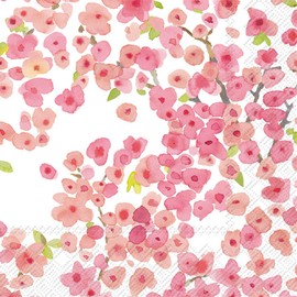 Boston International IHR Servilletas de papel de 3 capas, 5 x 5 pulgadas, Meryl, 20 unidades