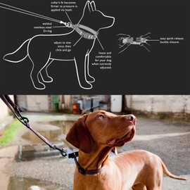 EzyDog Checkmate Martingale-Style Premium Nylon Safety Training and Correction Dog Collar - Quick-Clip Buckle and Reflective Stitching - Easy Control with no Choking Effect (Medium, Red)