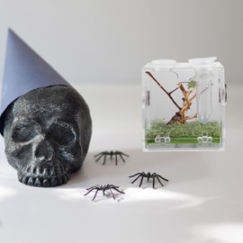 VILLCASE Spring Spider Terrarium, Acrylic Spiders Terrarium Transparent Reptile Breeding Box Snails Terrarium Small Reptile Transport Box with Pipette & Pliers for Spiders, Crickets, Insects