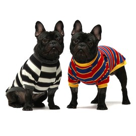 Fitwarm 2-Pack 100% Cotton Striped Dog Shirt for Pet Clothes Puppy T-Shirts Cat Tee Breathable Stretchy Black-White Yellow Blue Small
