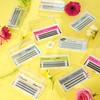 Clavier Wide Du2o False Eyelashes in Tufts, Eyelashes in a