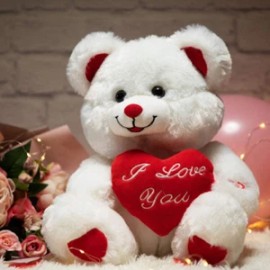 Heart Plush Bear with Teddy Bear I Love You and Blushes LED Stuffed Toys