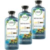 Herbal Essences Pure - Repair Shampoo with Moroccan Argan Oil,