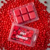 Spicy Cinnamon Scented Wax Melt - 2 Ounces - 6