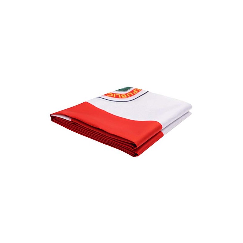 DANF Paraguay Flag 3x5 ft Paraguayan Paraguaian National Flags Polyester
