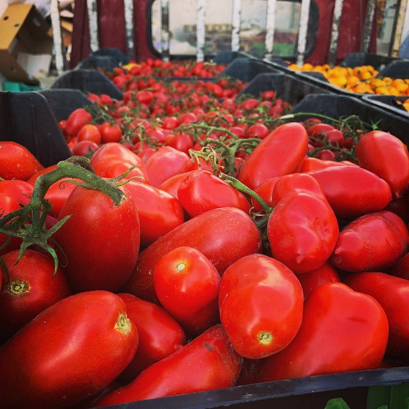 100% Italian Tomatoes Gustarosso DaniCoop – Campania, Italy - 14.1