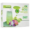 MATCHA DNA Guava Leaf Tea - 120 Individually Wrapped Teabags