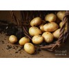 Simply Seed - 3 LBS - German Butterball - Potato