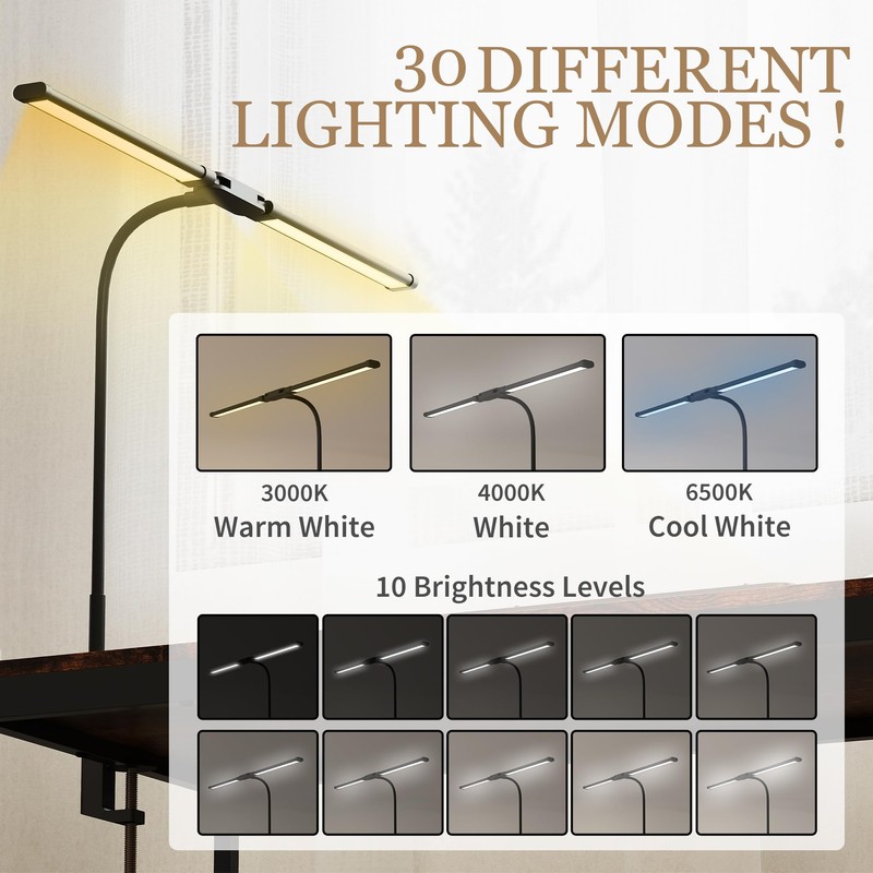 HOMCOM LED Desk Lamp with Clamp, Double Head Table Lamp