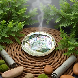 1Pc Colorful 4-4.5 Inch Abalone Shell Bowl Natural Smudge Bowl for Sage Burning and Incense Sea Shell Smudging Bowl for Decor and Display, Incense Holders Large