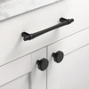 Asidrama 10 Pack 5 Inch(128mm) Matte Black Kitchen Cabinet Handles,