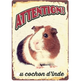 guinea pig guard board Cochon D'Inde 21 x 14.8 cm steel (FR)