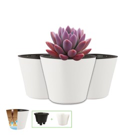 Smart Garden Maceta autorregable OC1009 Decorativa, Ovalada, Mini, Moderna, Interior. Autorriego Inteligente - Plástico ABS Anti UV (10cm de diámetro x 9cm de Alto) (3, Blanco Mate)