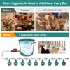 Complete Set Automatic Chicken Waterer System for Continuous Fresh Water,