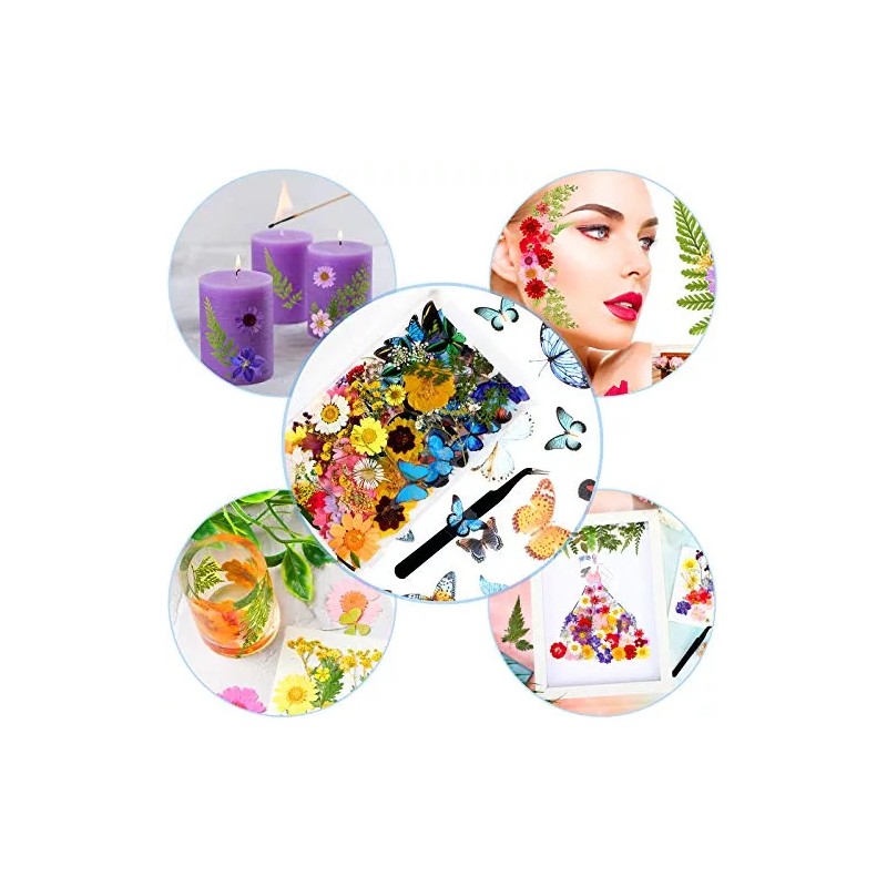 Nuanchu Set De Pegatinas De Flores Y Mariposas Secas Prensado