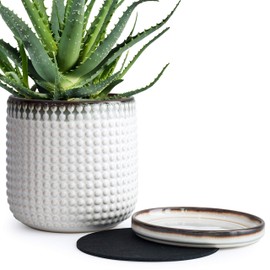 Ceramic Beaded Stoneware Planter Pot - 6 Inch Flower Pot with Drainage Holes and Saucers for Indoor Succulent Plants or Flowers, Smoked White, 27-N-K2-A-3