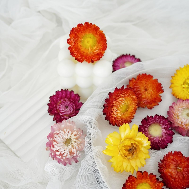 Pack of 30-40 dried flower heads for wedding and autumn