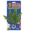 Zoo Med Laboratories AZMBP23 Betta Plant Salvia