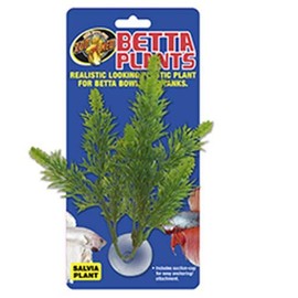Zoo Med Laboratories AZMBP23 Betta Plant Salvia
