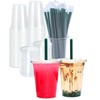 16 oz Clear Plastic Cups with Lids and STRAWS, Disposable