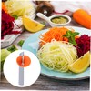 Ciieeo 1PC Multifunctional Grater and Peeler Tool for Fruits and