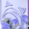 Cat Ear Headphones with Noise Reduction Mic for Girls All