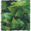 Zoo Med Naturalistic Bush Plant Mexican Phyllo, Large