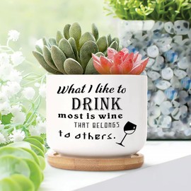 DecStic What I Like to Drink Most is Wine That Belongs to Others. Ceramic Planter Bible Verse Flower Pots for Indoor Plants with Drainage Holes and Saucers Pot for Home Desktop Office Windowsill