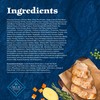 Blue Buffalo Wilderness Adult High-Protein Dry Dog Food with Real