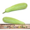 Big Pack - (50) Calabash Long Squash/Melon Seeds, Opo Bottle